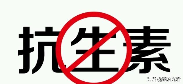 我们现在吃的猪肉大部分是饲料猪肉,如果是粮食猪肉,肉20元一斤你能接受吗？