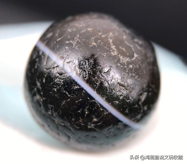 紫檀主持人:你希望2019年的春晚主持人谁担任为什么