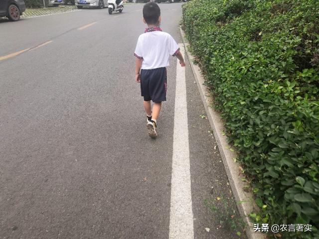 送小狗回家教案托班:幼儿园下午4点多就放学了，社会意义在哪里？