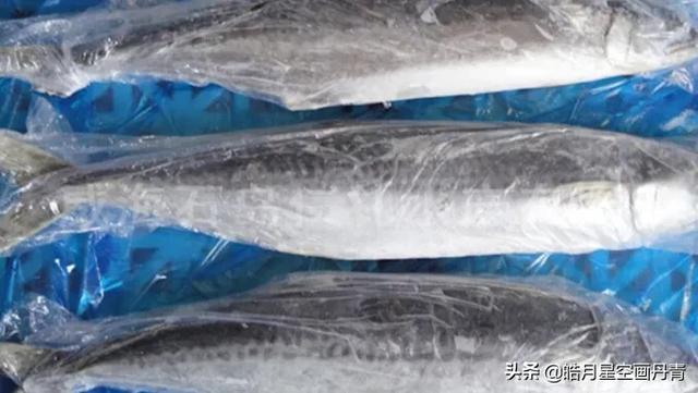 头条问答 冻鱼收拾干净保存好吗 锦绣v山东的回答 0赞
