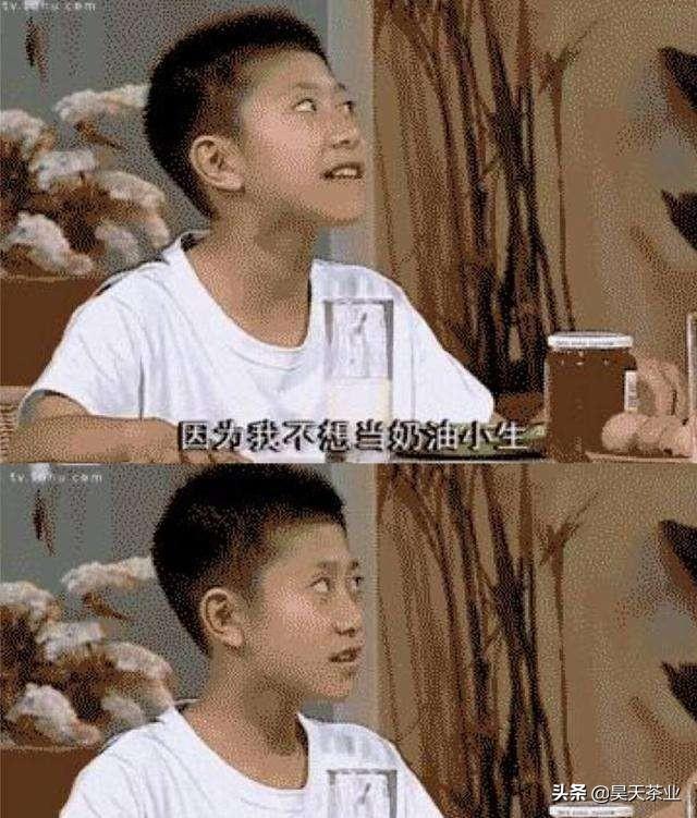 局中人剧情介绍:《局中人》伍元朴真实身份是什么他为何被安排与沈放同一间牢房