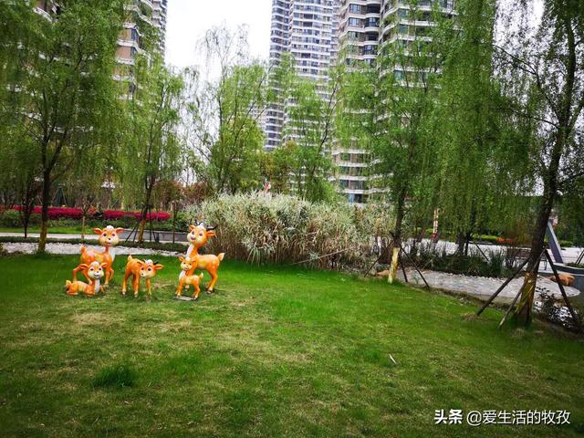 马加爵放过的唯一舍友:如何评价山东大学生虐猫事件