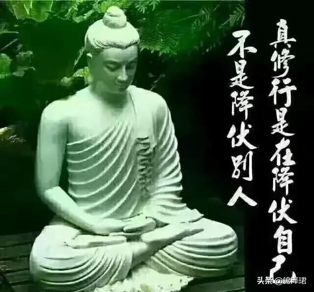 你是怎么对待身边戾气比较重的人？