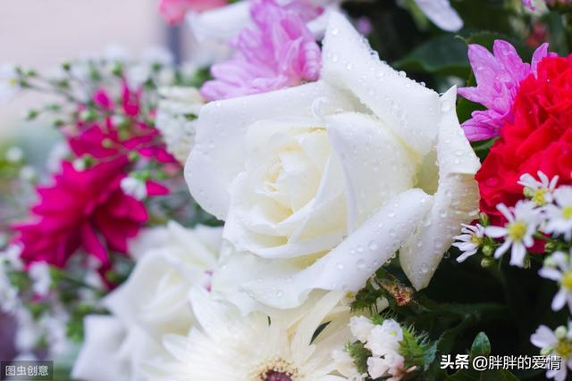 <a href=https://maguai.com/list/256-0-0.html target=_blank class=infotextkey>朋友圈</a>图片配图 励志 心情:求几句特别励志，有正能量的句子？