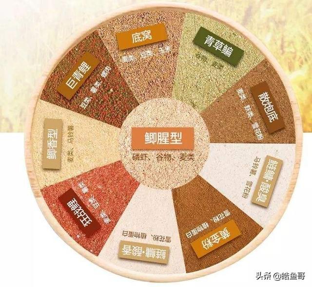 广西食人鱼图片:做为钓鱼人，您知道鱼儿的嗅觉是人的多少倍吗？