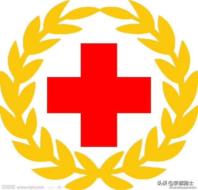 红十字会属于什么机构，请问红十字会靠什么收入来维持运转