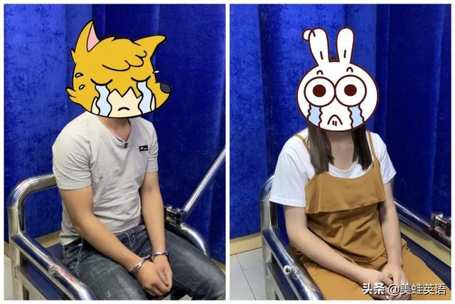 猫娘计划问题:猫娘改造计划 自媒体人最关心的100个问题有哪些？