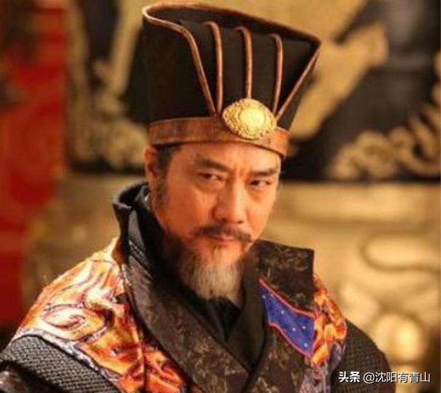 宇文邕是个合格的皇帝吗？