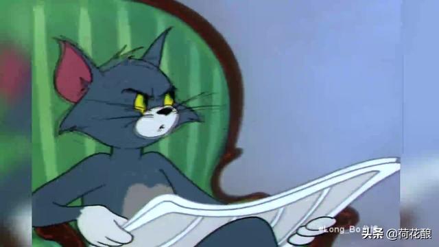 猫咪的品种及特征:黑猫警长和汤姆猫、布奇先生、图多盖洛小姐各是什么品种的猫？