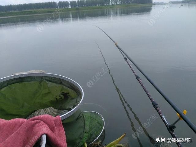 流水钓鱼,加拉丝粉还是玉米粘粉好？