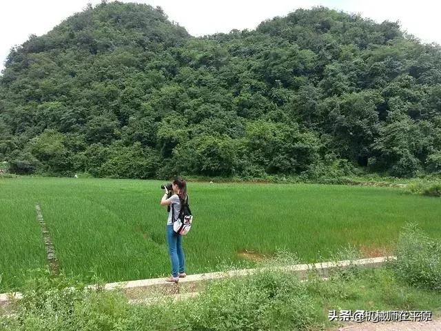 剃须刀,想给老爸和男朋友各买一个剃须刀,有什么品牌推荐的？