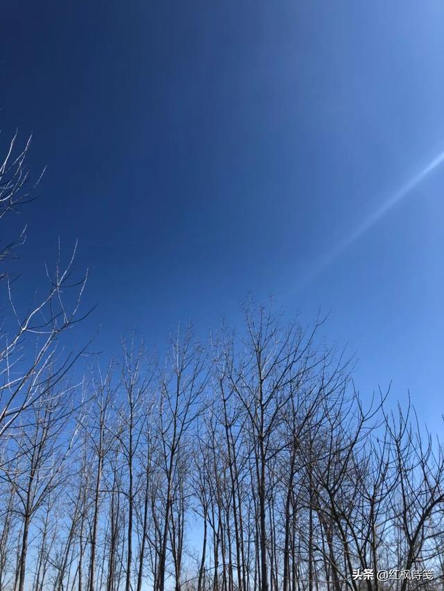 为什么有的人会离职,什么原因？
