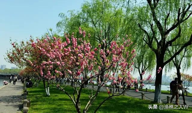 象棋开局“兵五进一”是什么意思？:进一法是什么意思 第2张