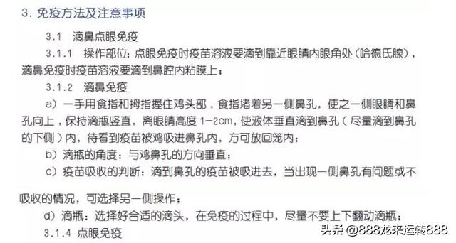 信鸽疫苗什么时候打最好:得了新城疫的鸽子能做新城疫苗吗？