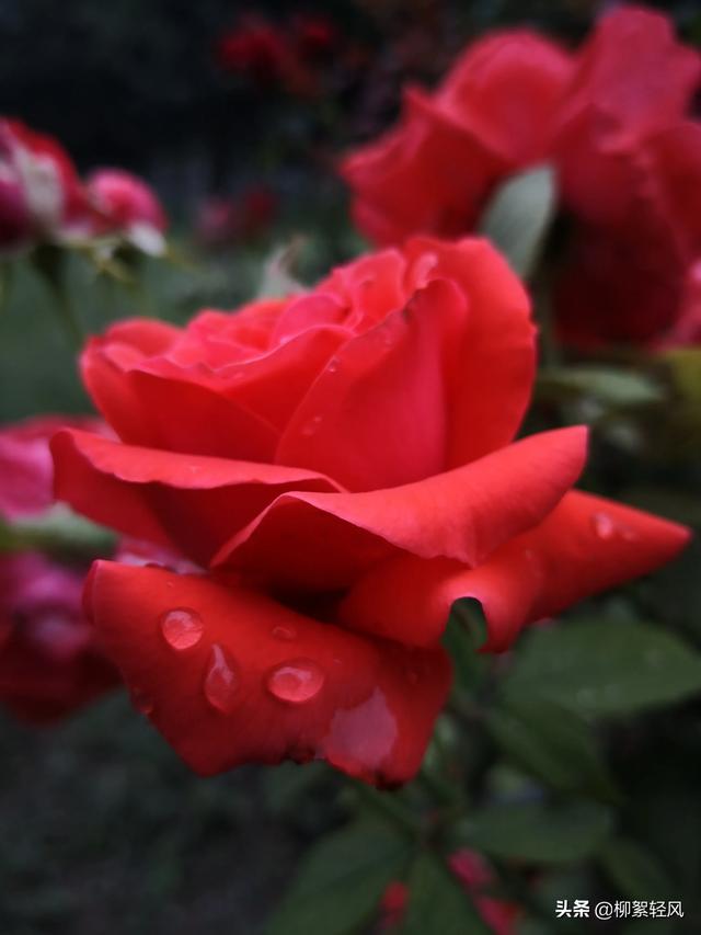 为什么有钱人都住一楼,为什么住一楼的都说一楼最不好？