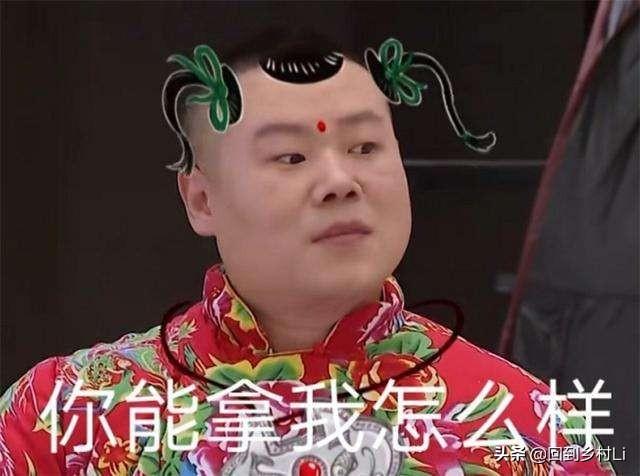 搞笑宠物视频:你见过最奇葩的宠物是什么？ 搞笑宠物视频素材