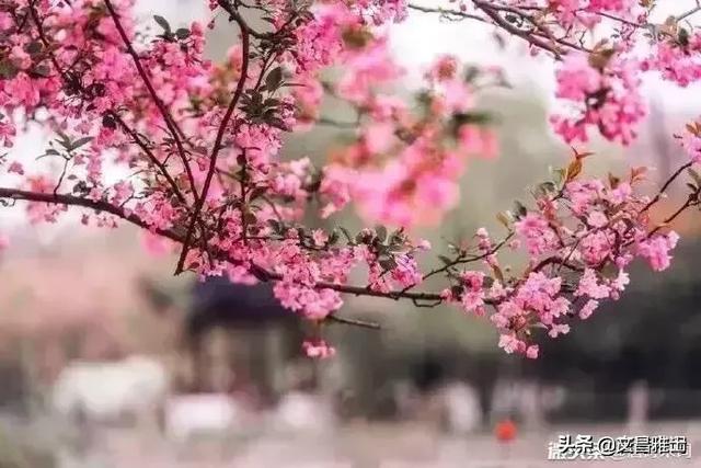 赞美教师的成语?喜欢,教师工作自有他们的辛苦？