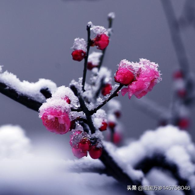 一眼看中的房子是有缘吗,你有没有看一眼就爱上的文物？