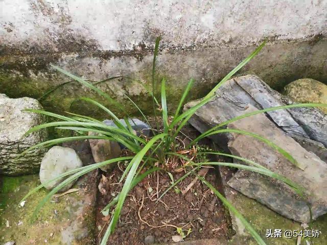 善诊<a href=https://maguai.com/list/56-0-0.html target=_blank class=infotextkey><a href=https://maguai.com/list/56-0-0.html target=_blank class=infotextkey>健康</a></a>公众号:人能不能控制自己的欲望？