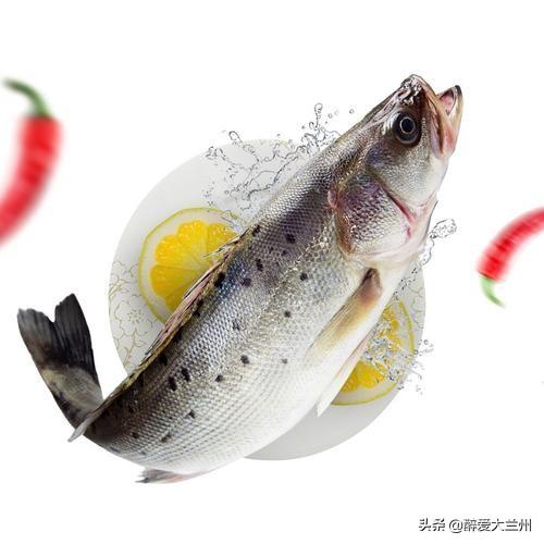 中国四大名玉之一的鲈鱼产自哪里:鲈鱼有四种，哪种鲈鱼好吃？