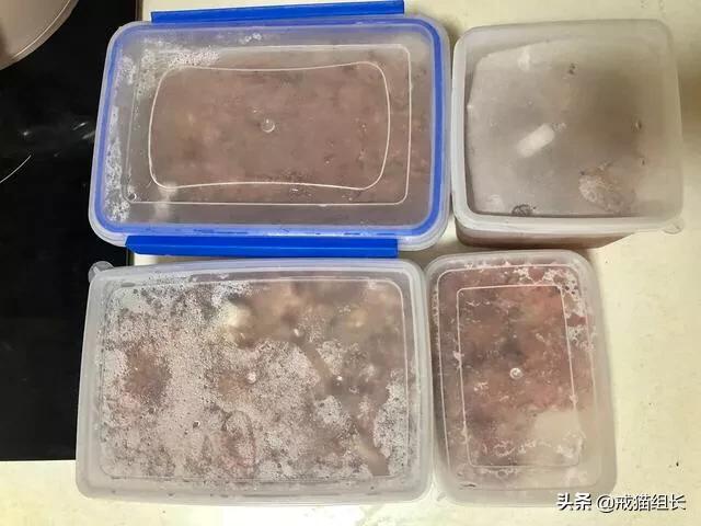 自制猫粮:要想俘获主子的心，就要抓住它的胃，如何制作美味又健康的猫食？ 自制猫粮鸡胸肉