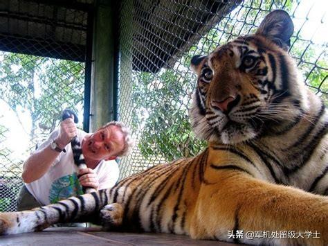 懒猴咬了一口用打针吗:被懒猴咬了该怎么办 被老虎咬了一口要去医院打针吗？