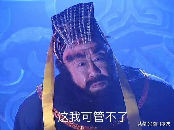 南极仙翁:《西游记》中，唐僧出生时＂送子＂的为何不是观音而是南极仙翁