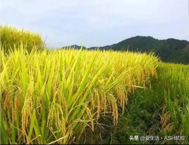 路易艾黎:关于兰州安宁培黎广场由来你知道吗？