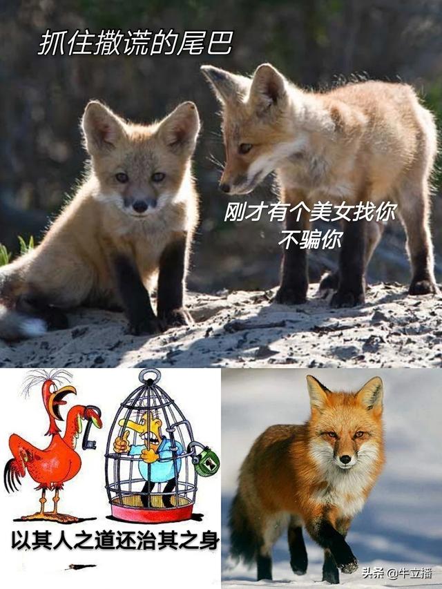 林宥嘉个人资料:“我为你付出的青春这么多年”这是哪首歌的歌词