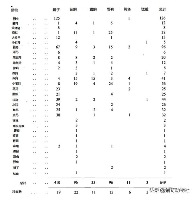 巨鬣狗和狮子:在非洲，为什么蜜獾被称为“非洲一霸”？它和狮子比谁厉害？