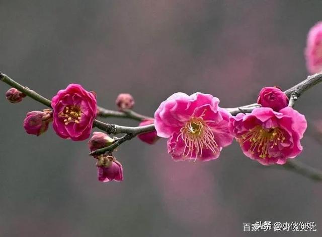 搬家捡别人的东西用好不好,拿了别人扔掉的东西对吗？