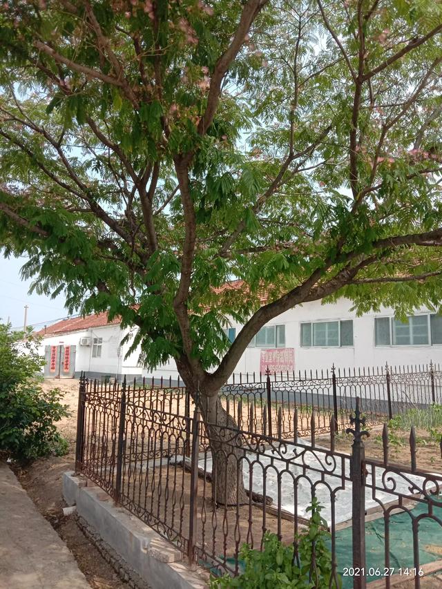 童年的乡土情结:为什么近几年有些城里人选择回农村老家建房？