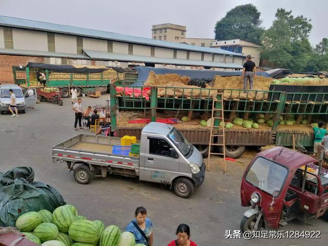 我家是西瓜、酥梨、桃的产地,怎么样能拉到采购商？
