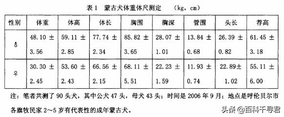 山东同贺原生态藏獒:我国最珍贵的狗是哪种狗？为什么？