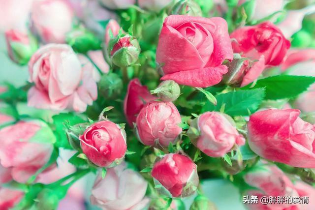 带有人生哲理的句子:有关人生哲理的经典句子？