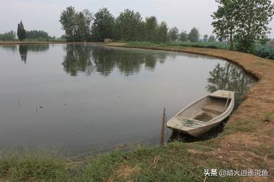 亚峰水族搬家:水上面建鸡场，上面养鸡，下面养鱼，这样的养殖基地可行吗？