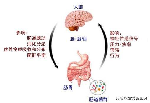 有没有治疗抑郁症比较好的地方,不要打广告？