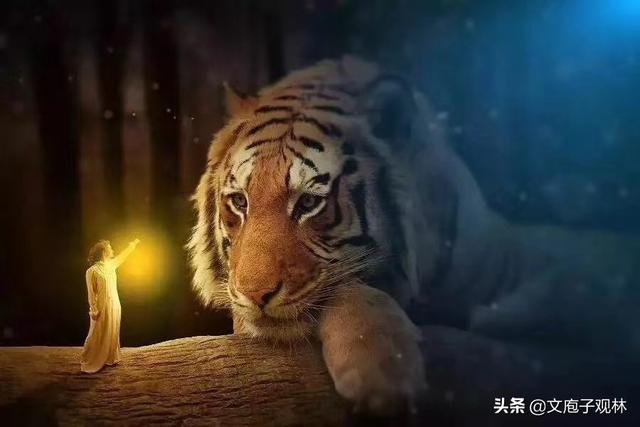 前任跟现任同年同月同日生,而且两个人的家就一墙之隔。很尴尬,怎么办？
