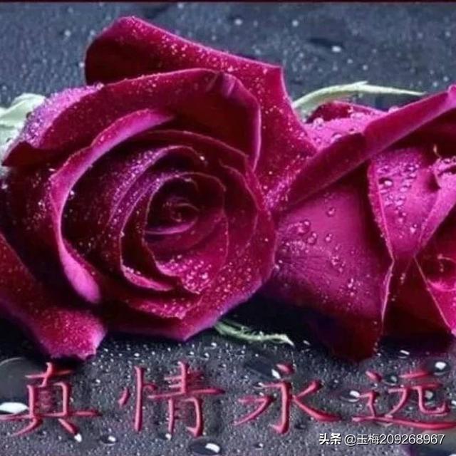 在七夕节，如何用一句话向心爱的人表白？