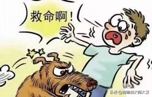 威海车主拖行虐狗事件:如何看待哈尔滨虐狗事件？