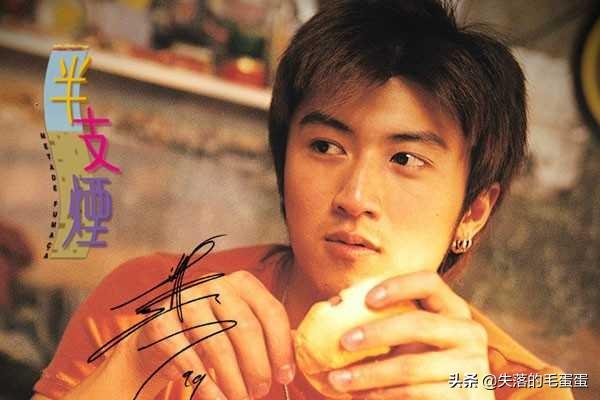 谢霆锋演过的电影:怎么评价电影《一生一世》