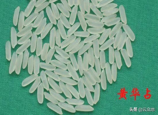 杨奇清:湖南省平江县走出去的名人有哪些？