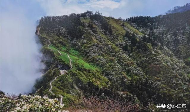 成都骑龙小区属于哪个区，成都的近郊哪个区县居住生活最方便