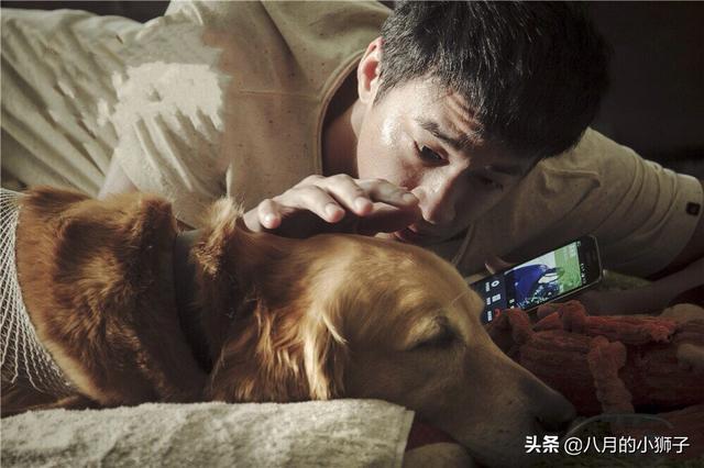 男孩被迫娶狗为妻:我离过婚，还有一个孩子，为什么还是有那么多男人追求我？