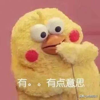 自制猫粮:要想俘获主子的心，就要抓住它的胃，如何制作美味又健康的猫食？ 自制猫粮鸡胸肉