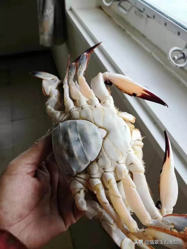 翡翠科普,翡翠戴久了会变绿，这是怎么回事？