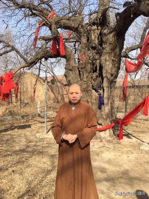 延参法师是哪里人:延参法师是毕业于哪个学校？