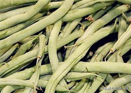 四季豆的功效与作用,晚熟露天四季豆什么时候播种好？
