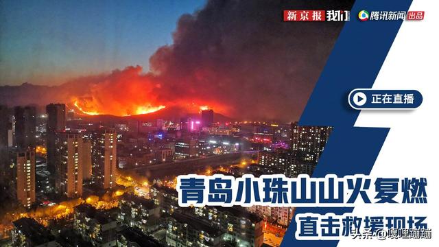 韩国发生森林大火:西海岸大火怎么着起来的？