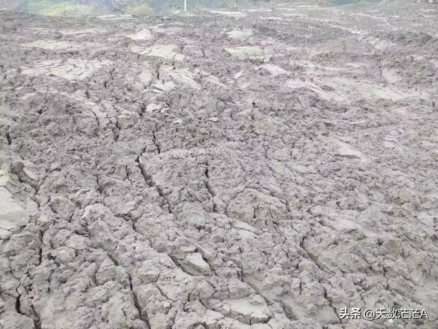 花鳗鲡池塘养殖的效果:我想养殖黄鳝，不知道黄鳝对环境有什么要求？求答案？